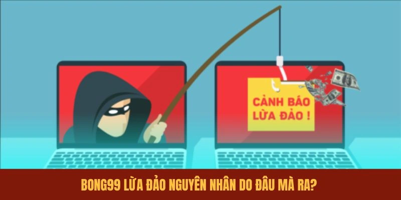 bong99-lua-dao-nguyen-nhan-do-dau-ma-ra