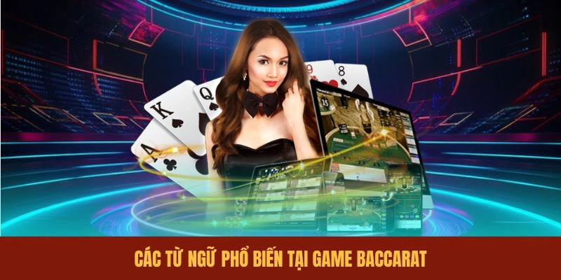 cac-tu-ngu-pho-bien-tai-game-baccarat